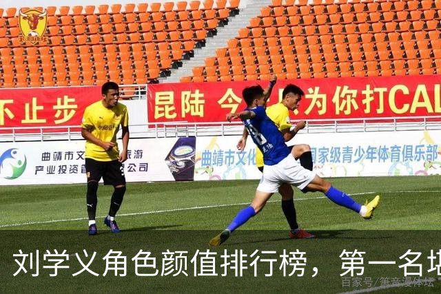 刘学义角色颜值排行榜，第一名堪称巅峰
